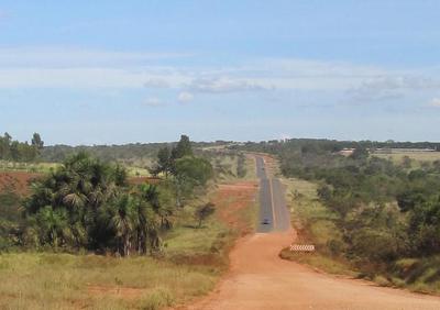 Road cutting through a mixture of natural areas and agriculture in Brazil&rsquo;s Cerrado (Photo by Emilio Bruna).